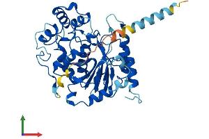 Protein Structure (PS) image for UDP-GlcNAc:betaGal beta-1,3-N-Acetylglucosaminyltransferase 8 (B3GNT8) (AA 1-389) protein (His tag) (ABIN7559735)