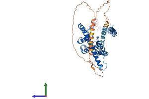 AlphaFold protein structure predicition of Mouse Recombinant Kcnk3 Protein, UniprotID O35111 (KCNK3 Protein (AA 1-409) (His tag))