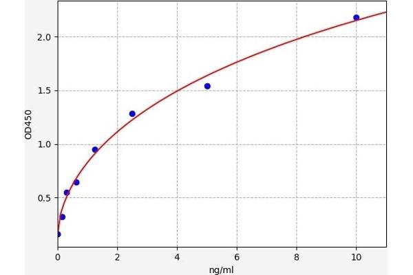 DnaJ (Hsp40) Homolog, Subfamily B, Member 3 (DNAJB3) ELISA 试剂盒