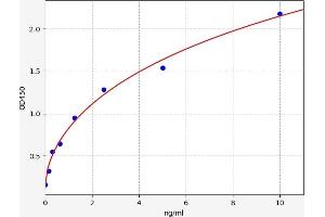 Typical standard curve (DnaJ (Hsp40) Homolog, Subfamily B, Member 3 (DNAJB3) ELISA 试剂盒)