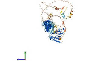AlphaFold protein structure predicition of Mouse Recombinant Pdlim7 Protein, UniprotID Q3TJD7 (PDLIM7 Protein (AA 1-457) (His tag))