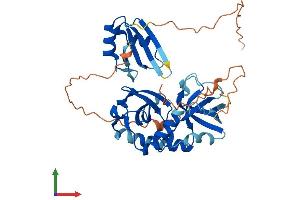 Protein Structure (PS) image for Tudor Domain Containing 10 (TDRD10) (AA 1-366) protein (His tag) (ABIN7544274)