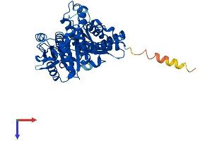 TUBB1 Protein (AA 1-451) (His tag)