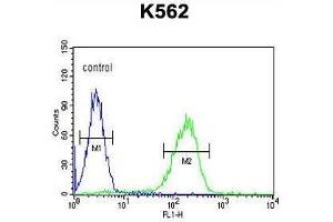 APOL6 Antibody (Center) flow cytometric analysis of K562 cells (right histogram) compared to a negative control cell (left histogram). (APOL6 抗体  (Middle Region))