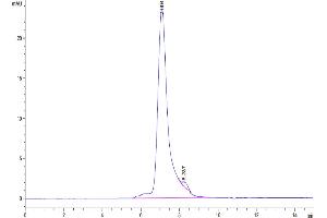Size-exclusion chromatography-High Pressure Liquid Chromatography (SEC-HPLC) image for Sialic Acid Binding Ig-Like Lectin 5 (SIGLEC5) (AA 17-434) protein (His-Avi Tag,Biotin) (ABIN7275599)