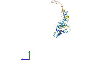 Protein Structure (PS) image for Small Nuclear Ribonucleoprotein 48kDa (U11/U12) (SNRNP48) (AA 1-337) protein (His tag) (ABIN7560941)