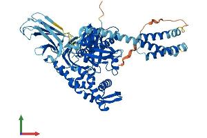 AlphaFold protein structure predicition of Human Recombinant HSPA1L Protein, UniprotID P34931