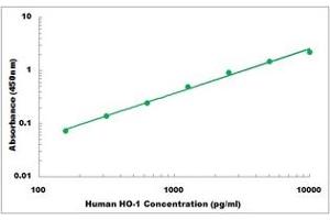 Representative Standard Curve (HMOX1 ELISA 试剂盒)