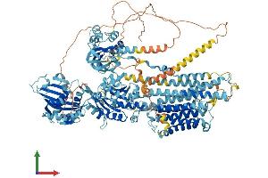 Protein Structure (PS) image for ATPase, Ca++ Transporting, Plasma Membrane 3 (ATP2B3) (AA 1-1220) protein (His tag) (ABIN7552459)