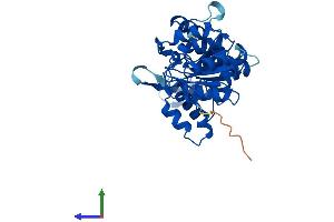 AlphaFold protein structure predicition of Human Recombinant PGP Protein, UniprotID A6NDG6 (PGP Protein (AA 1-321) (His tag))