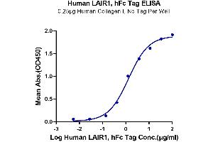 Immobilized Human Collagen I, No Tag at 5 μg/mL (50 μL/well) on the plate.