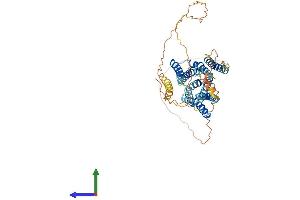 Protein Structure (PS) image for Solute Carrier Family 39 (Zinc Transporter), Member 7 (SLC39A7) (AA 1-469) protein (His tag) (ABIN7545903)