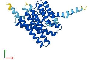 AlphaFold protein structure predicition of Human Recombinant AQP11 Protein, UniprotID Q8NBQ7 (AQP11 Protein (AA 1-271) (His tag))