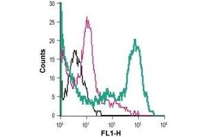 Flow Cytometry (FACS) image for anti-Solute Carrier Family 2 (Facilitated Glucose Transporter), Member 3 (SLC2A3) (AA 39-52), (Extracellular) antibody (ABIN7043696)