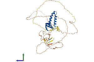 Protein Structure (PS) image for General Transcription Factor IIA, 1-Like (GTF2A1L) (AA 1-478) protein (His tag) (ABIN7544398)