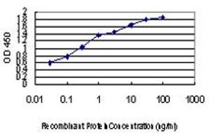 ELISA image for anti-Period Circadian Protein 2 (PER2) (AA 1-100) antibody (ABIN563850)