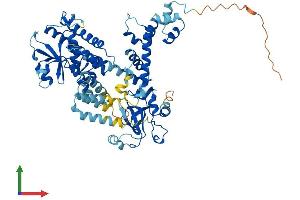 AlphaFold protein structure predicition of Human Recombinant FBXO21 Protein, UniprotID O94952