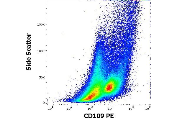 CD109 抗体  (PE)