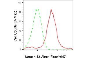 Flow cytometric analysis of Keratin 13 expression in HaCaT cells using Keratin 13 antibody (ABIN7799166), 1:2,000). (Recombinant Cytokeratin 13 抗体)