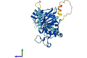 Protein Structure (PS) image for UDP-Gal:betaGlcNAc beta 1,3-Galactosyltransferase, Polypeptide 4 (B3GALT4) (AA 1-371) protein (His tag) (ABIN7556340)