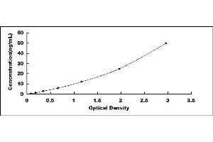 Typical standard curve (IRAK2 ELISA 试剂盒)