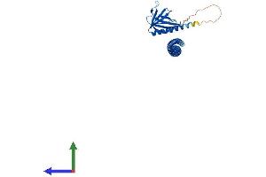AlphaFold protein structure predicition of Human Recombinant HOMER1 Protein, UniprotID Q86YM7 (HOMER1 Protein (AA 1-354) (His tag))