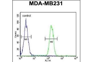 ARG1 Antibody (C-term) (ABIN652925 and ABIN2842593) flow cytometric analysis of MDA-M cells (right histogram) compared to a negative control cell (left histogram).
