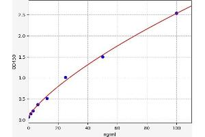 Cartilage Oligomeric Matrix Protein (COMP) ELISA Kit