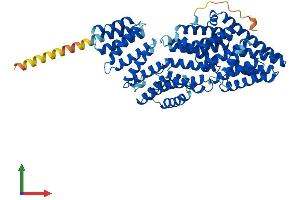 Protein Structure (PS) image for MAU2 Sister Chromatid Cohesion Factor (MAU2) (AA 1-619) protein (His tag) (ABIN7560927)