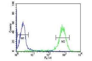 DLK2 antibody flow cytometric analysis of HL-60 cells (green) compared to a negative control (blue). (DLK2 抗体  (AA 353-380))