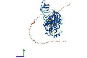 Protein Structure (PS) image for Megakaryocyte-Associated tyrosine Kinase (MATK) (AA 1-505) protein (His tag) (ABIN7563232)