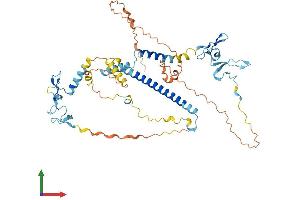 Protein Structure (PS) image for KAT8 Regulatory NSL Complex Subunit 2 (KANSL2) (AA 1-492) protein (His tag) (ABIN7548599)