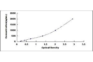 Typical standard curve (FLT3LG ELISA 试剂盒)