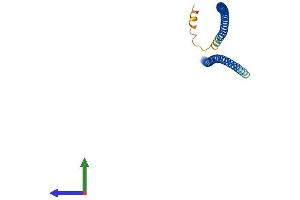 AlphaFold protein structure predicition of Human Recombinant KRT87P Protein, UniprotID A6NCN2 (KRT87P (AA 1-255) protein (His tag))