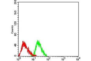 Flow cytometric analysis of Jurkat cells using RBFOX2 mouse mAb (green) and negative control (red).