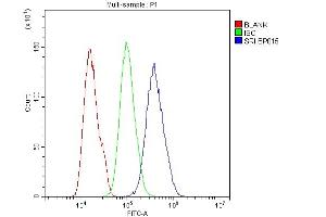 Flow Cytometry analysis of U20S cells using anti-SRI antibody (ABIN6719388). (SRI 抗体)