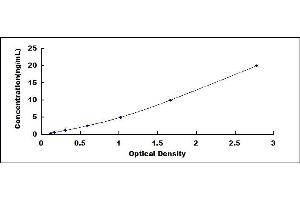 Typical standard curve (MFAP4 ELISA 试剂盒)