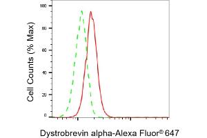 Flow cytometric analysis of Dystrobrevin alpha expression in C2C12 cells using Dystrobrevin alpha antibody (ABIN7798410), 1:1,000). (DTNA 抗体)