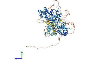 Protein Structure (PS) image for RAS Guanyl Releasing Protein 3 (Calcium and DAG-Regulated) (RASGRP3) (AA 1-690) protein (His tag) (ABIN7548186)