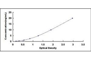 Typical standard curve (Plakophilin 1 ELISA 试剂盒)