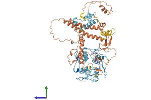 AlphaFold protein structure predicition of Human Recombinant ZNF195 Protein, UniprotID O14628