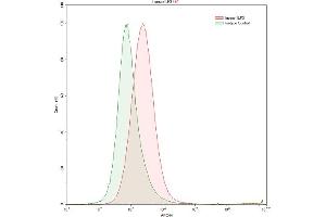 Detection of ILF3 in K562 human chronic myelogenous leukemia cell line using Polyclonal Antibody to Interleukin Enhancer Binding Factor 3 (ILF3) (Interleukin enhancer-binding factor 3 (ILF3) (AA 672-891) 抗体)
