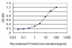 Detection limit for recombinant GST tagged RAPGEF1 is approximately 0. (GRF2 抗体  (AA 1-110))