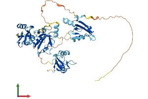 Protein Structure (PS) image for PDZ Domain Containing 1 (PDZK1) (AA 1-519) protein (His tag) (ABIN7554769)