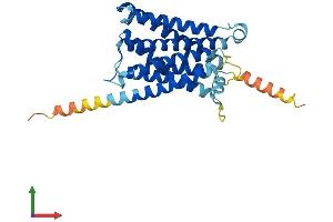 Protein Structure (PS) image for MAS-Related GPR, Member E (MRGPRE) (AA 1-312) protein (His tag) (ABIN7549492)
