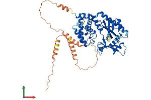 Protein Structure (PS) image for Smith-Magenis Syndrome Chromosome Region, Candidate 7-Like (SMCR7L) (AA 1-463) protein (His tag) (ABIN7554578)