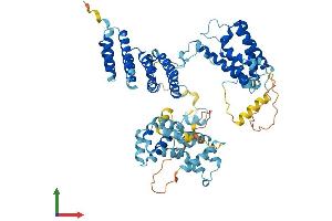 Protein Structure (PS) image for THO Complex 1 (THOC1) (AA 1-657) protein (His tag) (ABIN7555768)