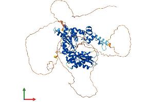 Protein Structure (PS) image for Polymerase (DNA Directed) iota (POLI) (AA 1-740) protein (His tag) (ABIN7555047)