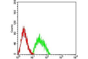 Flow Cytometry (FACS) image for anti-Neurofilament, Heavy Polypeptide (NEFH) (AA 2-251) antibody (ABIN7193620)