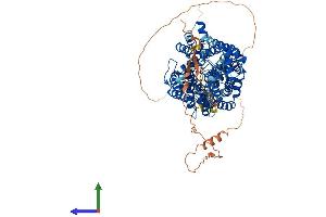 Protein Structure (PS) image for Solute Carrier Family 6 (Neurotransmitter Transporter, Glycine), Member 5 (SLC6A5) (AA 1-797) protein (His tag) (ABIN7555373)